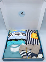 31-Piece Baby Boy Starter Box Gift Set